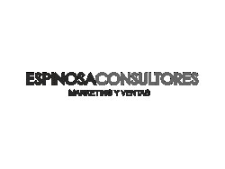 Espinosa Consultores