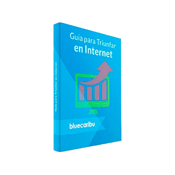 Guía para triunfar en internet
